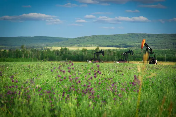 Ovaların Manzarası Yeşil Çim Tarlasının Petrol Kuyusunda Pompa Çiçek Açan — Stok fotoğraf