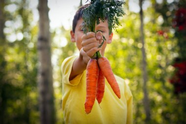 Sarı tişörtlü bir çocuk, sonbahar bahçesinde önünde bir sürü taze turuncu havuç tutuyor. Arka planda sıcak ışık altında ağaçlar.