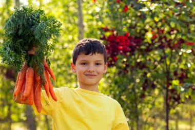 Sarı tişörtlü gülümseyen bir çocuk, yeşil ve kırmızı ağaçların yanındaki sonbahar bahçesinde yapraklı büyük bir demet turuncu havuç tutuyor..