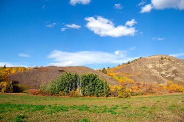 Tepeleri ve ağaçları olan çorak topraklar, sonbahar çayırlarında kuru otlar, bulutlu mavi gökyüzü. Dunvegan taşra parkı, Alberta, Kanada.