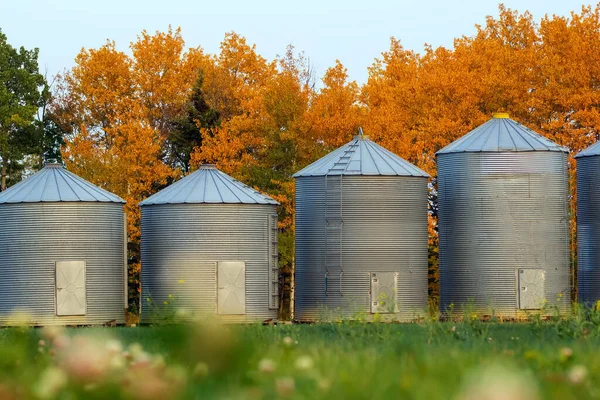 Old Steel Grain Bins Standing Row Wood Yellow Autumn Foliage — Stock Photo, Image