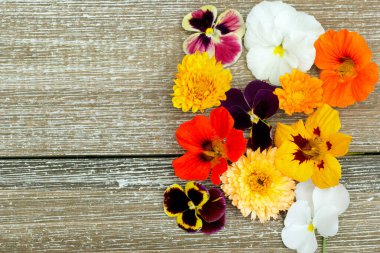 Yenebilir çiçekli (nasturtium, calendula, nonoş) ahşap masa yan tarafında).