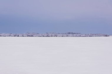 Ovalardaki Idyllic kış sahnesi - beyaz karla kaplı tarlalar, beyaz donlu sıra ağaçlar ve mavi gökyüzü.