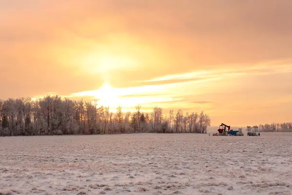 Winterlandschap Prairies Oranje Zonsondergang Het Veld Buurt Van Een Struik — Stockfoto