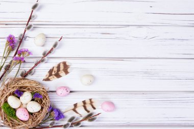 Düz Paskalya kompozisyonu bir yuva ve yumurta, söğüt dalları, stativ çiçekleri, beyaz ahşap arka planda tüyler.