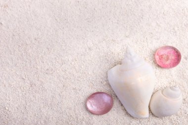 Summertime textured background with white cone shells and red glass pebbles on the white sand.