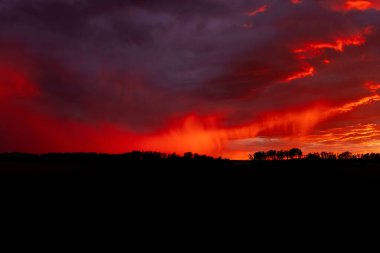 Dramatik kırmızı ve mor yaz günbatımı ufukta ağaçların siluetleri ve bulutlardan yağan yağmurla.