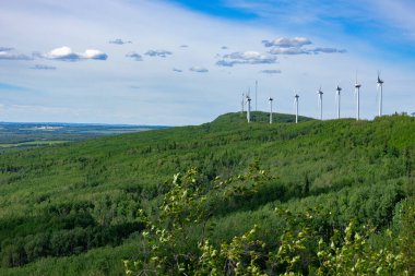 Rüzgâr türbinlerinin oluşturduğu sıra, yaz mevsiminde yeşil ağaçlar ve mavi gökyüzü arasında dağda sürdürülebilir enerji üretir..
