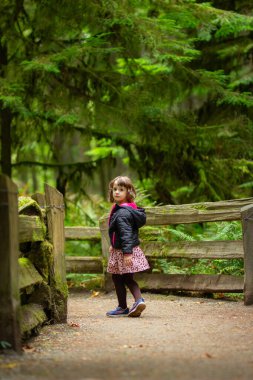 Toddler girl is exploring a rainforest trail in the national park, walking on boardwalk with wooden fence among ferns and ancient cedars. Cathedral grove, Vancouver island, British Columbia, Canada. clipart