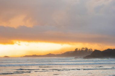 Güzel bir akşam manzarası, Pasifik Okyanusu 'nda gün batımı kaya ve ağaçlardan oluşan siluetler, turuncu güneş ışığı ve suda dalgalar. Tofino, Vancouver Adası, Kanada.