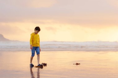 Genç çocuk yalnızlığın tadını çıkarıyor ve gün batımında huzur dolu plajları keşfediyor, kumdaki yosunları. Tofino, Vancouver Adası, Kanada.