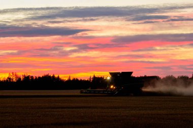 Spirit River, Alberta, Kanada - 28 Ağustos 2024: John Deere s780 kombinasyonu gece geç saatlerde far, buğday tarlası ve kırmızı ve mor gün batımıyla çalışıyor.