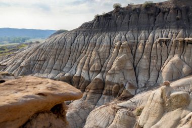 Manzaralı çorak topraklar, kanyon tepelerinde rüzgârla yontulmuş kumtaşı oluşumları ve yaz mevsiminde büyüyen çöl bitkileri. Serseriler, Drumheller, Alberta, Kanada.