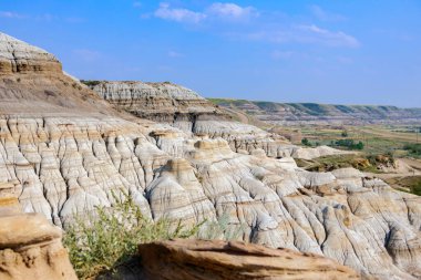 Manzaralı çorak topraklar, kanyon tepelerinde rüzgârla yontulmuş kumtaşı oluşumları ve yaz mevsiminde büyüyen çöl bitkileri. Serseriler, Drumheller, Alberta, Kanada.