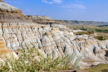 Manzaralı çorak topraklar, kanyon tepelerinde rüzgârla yontulmuş kumtaşı oluşumları ve yaz mevsiminde büyüyen çöl bitkileri. Serseriler, Drumheller, Alberta, Kanada.
