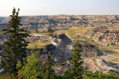 Sahne çorak topraklar, kanyon tepelerinde aşınmış kumtaşı oluşumları ve yazın büyüyen eşsiz bitki örtüsü. At nalı kanyonu, Drumheller, Alberta, Kanada.