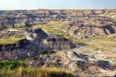 Sahne çorak topraklar, kanyon tepelerinde aşınmış kumtaşı oluşumları ve yazın büyüyen eşsiz bitki örtüsü. At nalı kanyonu, Drumheller, Alberta, Kanada.
