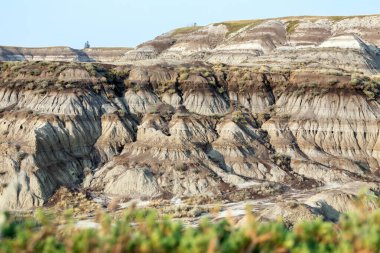 Sahne çorak topraklar, kanyon tepelerinde aşınmış kumtaşı oluşumları ve yazın büyüyen eşsiz bitki örtüsü. At nalı kanyonu, Drumheller, Alberta, Kanada.