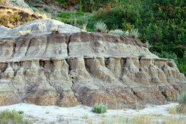 Sahne çorak topraklar, kanyon tepelerinde aşınmış kumtaşı oluşumları ve yazın büyüyen eşsiz bitki örtüsü. At nalı kanyonu, Drumheller, Alberta, Kanada.