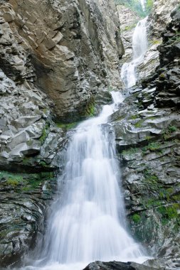 Dağlardaki güzel yüksek şelaleler, yosunlu yeşil kayalarla kayalıklardan güçlü akarsular yükseliyor. Eaton Şelalesi, Willmore Wilderness Parkı, Alberta, Kanada.