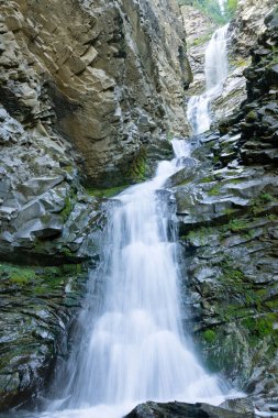 Dağlardaki güzel yüksek şelaleler, yosunlu yeşil kayalarla kayalıklardan güçlü akarsular yükseliyor. Eaton Şelalesi, Willmore Wilderness Parkı, Alberta, Kanada.
