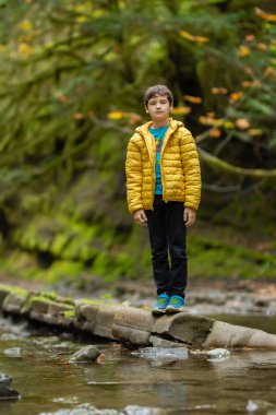 Gündelik giysiler içinde beyaz bir çocuk sonbaharda yağmur ormanlarının nemli deresinde doğanın tadını çıkarıyor. Kayalarda yeşil yosun ve ağaçlarda sarı yapraklar. Vancouver Adası, British Columbia, Kanada.
