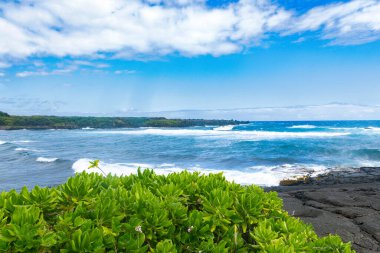 Güzel Hawaii doğası - volkanik siyah kayalar, plaj naupakasının yeşil çalıları, dalgalı Pasifik okyanusunun suları ve mavi gökyüzü. Black sand Beach, Big Island, Hawaii, ABD.