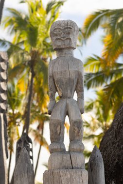 Aumakua ya da Hawaii Tanrısı geleneksel ahşap oymalı heykel şeklinde temsil ediliyordu. Pu? uhonua to Honaunau Ulusal Tarih Parkı, Hawaii, ABD.