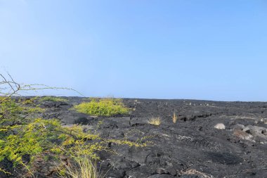 Volkan üstüne kara çöl patlaması, ufukta çatlaklar ve birkaç bitki olan soğutulmuş lav alanı. Büyük Ada, Hawaii, ABD.