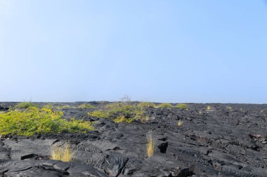 Volkan üstüne kara çöl patlaması, ufukta çatlaklar ve birkaç bitki olan soğutulmuş lav alanı. Büyük Ada, Hawaii, ABD.