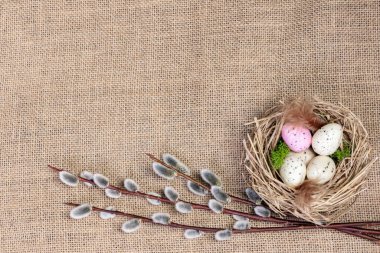 Easter decor, grass nest with speckled pink and beige eggs and green moss, pussy willow branches on the burlap table cloth. Top view.
