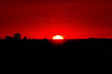 Doymuş kırmızı gün batımını dumanlı gökyüzünde, sakin bir akşam, ağaç siluetleri ve büyük güneşin üzerindeki bulutlarla..