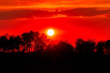 Doymuş kırmızı gün batımını dumanlı gökyüzünde, sakin bir akşam, ağaç siluetleri ve büyük güneşin üzerindeki bulutlarla..