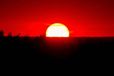 Doymuş kırmızı gün batımını dumanlı gökyüzünde, sakin bir akşam, ağaç siluetleri ve büyük güneşin üzerindeki bulutlarla..