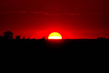 Doymuş kırmızı gün batımını dumanlı gökyüzünde, sakin bir akşam, ağaç siluetleri ve büyük güneşin üzerindeki bulutlarla..