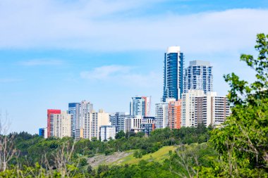 Parktan şehir merkezine kadar yüksek binalar, yazlık parkın yeşil dalları boyunca gökdelenler. Edmonton Merkezi, Alberta, Kanada.