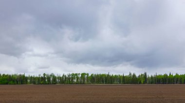 Renkli yeşil yapraklı ağaçlarla çevrili taze tohum ekilmiş bir tarla manzaralı kırsal bir arazi dramatik bir bulutlu gökyüzü altında, ufukta yağmur yağıyor..