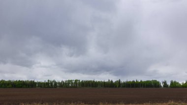 Renkli yeşil yapraklı ağaçlarla çevrili taze tohum ekilmiş bir tarla manzaralı kırsal bir arazi dramatik bir bulutlu gökyüzü altında, ufukta yağmur yağıyor..