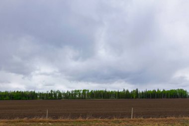 Renkli yeşil yapraklı ağaçlarla çevrili taze tohum ekilmiş bir tarla manzaralı kırsal bir arazi dramatik bir bulutlu gökyüzü altında, ufukta yağmur yağıyor..