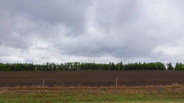 Renkli yeşil yapraklı ağaçlarla çevrili taze tohum ekilmiş bir tarla manzaralı kırsal bir arazi dramatik bir bulutlu gökyüzü altında, ufukta yağmur yağıyor..