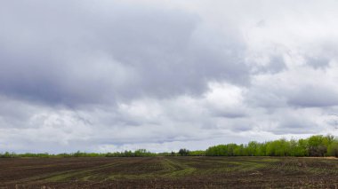 Renkli yeşil yapraklı ağaçlarla çevrili taze tohum ekilmiş bir tarla manzaralı kırsal bir arazi dramatik bir bulutlu gökyüzü altında, ufukta yağmur yağıyor..