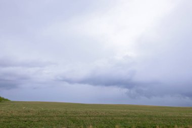 Sığırları beslemek için yeşil taze çimen ve baharın başlarında bulutlu gökyüzü olan tarım arazisi..