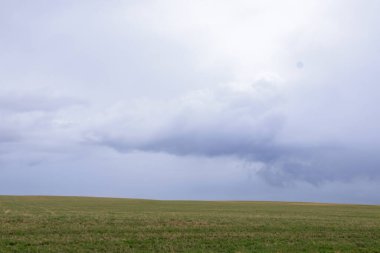 Sığırları beslemek için yeşil taze çimen ve baharın başlarında bulutlu gökyüzü olan tarım arazisi..