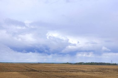 Kırsal alanda ilkbaharın başlarında, tohumlu tarlalar geçen yıl kirli sakallar ve bulutlu mavi gökyüzü, ufukta yağmur yağıyor..