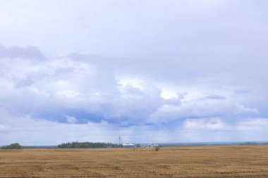 Kırsal alanda ilkbaharın başlarında, tohumlu tarlalar geçen yıl kirli sakallar ve bulutlu mavi gökyüzü, ufukta yağmur yağıyor..