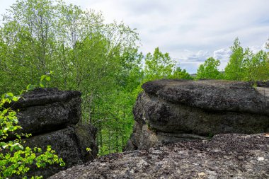 Dev kayalar, eski tarih öncesi okyanus çukurunun yerine yeşil bir orman ortamının içine yerleştirilmiş jeolojik yapılar inşa eder. Halka kayaları oluşumu, Batı Kanada Tortul Havzası, Alberta