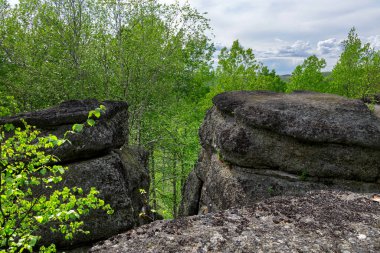 Dev kayalar, eski tarih öncesi okyanus çukurunun yerine yeşil bir orman ortamının içine yerleştirilmiş jeolojik yapılar inşa eder. Halka kayaları oluşumu, Batı Kanada Tortul Havzası, Alberta