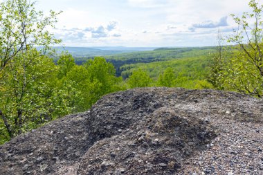 Antik tarih öncesi okyanus çukurunun yerine yeşil bir orman ortamında yuva yapmış kayaların oluşumundan bir görüntü. Halka kayaları oluşumu, Batı Kanada Tortul Havzası, Alberta