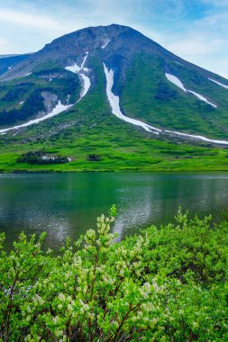 Baharda karla kaplı güzel göl manzarası ve söğüt ve otlardan oluşan yeşil yapraklar. Tumbler Ridge Geopark (Windfall Gölü), BC, Kanada