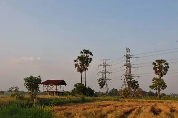 Krajobraz Tła Piękne Pole Ryżowe Elektryczności Post Chata Palmy Wsi — Zdjęcie stockowe